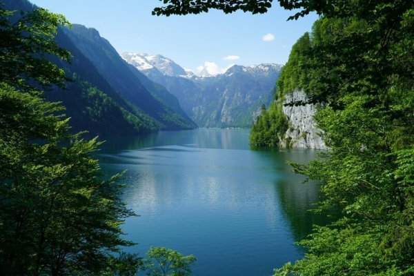 Оптимальные стратегии с кракен вход