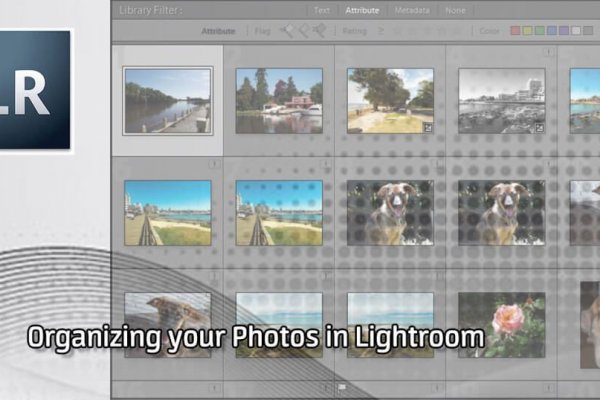 Аккаунты кракен для профессионалов