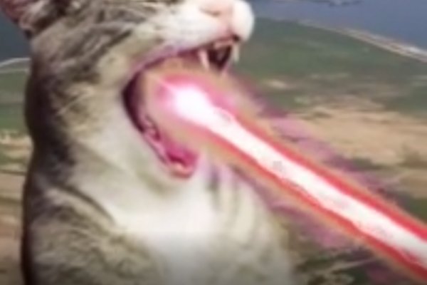 Krab1 cc и современные технологии