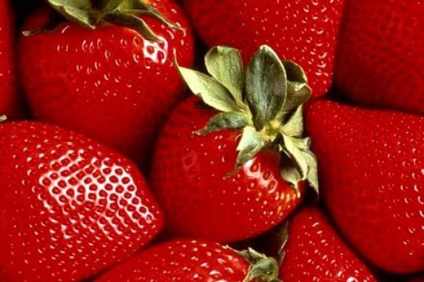 Качественный доступ krab8 cc